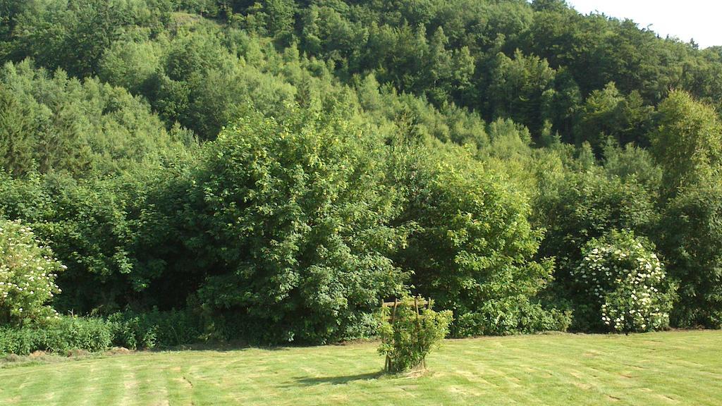 La Cle Des Champs Villa Bertogne ภายนอก รูปภาพ